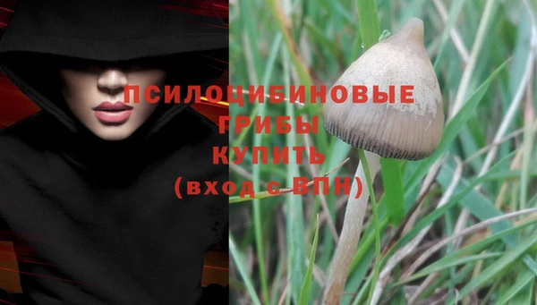 альфа пвп Михайловка