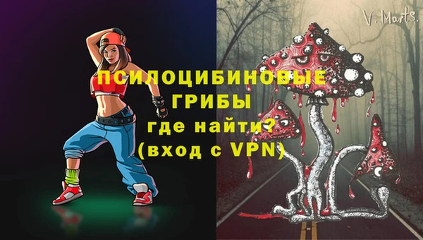 ALPHA PVP Богородицк