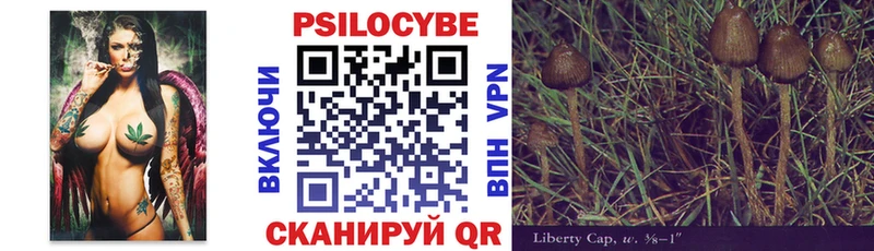 Псилоцибиновые грибы мухоморы  где найти   Петропавловск-Камчатский 