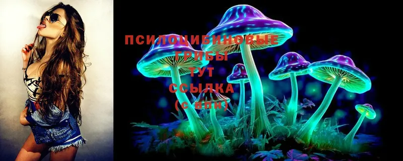 Галлюциногенные грибы Magic Shrooms  гидра tor  Петропавловск-Камчатский  продажа наркотиков 