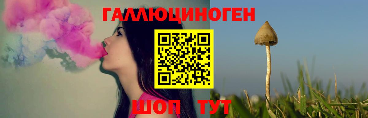 Петропавловск-Камчатский  Галлюциногенные грибы Psilocybine cubensis  Вход с VPN  Псилоцибиновые грибы Psilocybe 